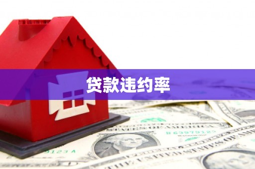 炉霍贷款违约率