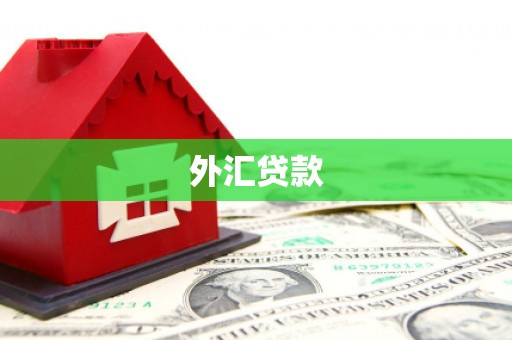 柳营外汇贷款