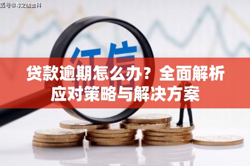 全南贷款逾期怎么办？全面解析应对策略与解决方案