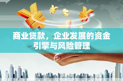 塔什库尔干塔吉克商业贷款，企业发展的资金引擎与风险管理