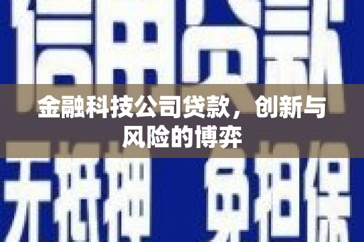 康马金融科技公司贷款，创新与风险的博弈