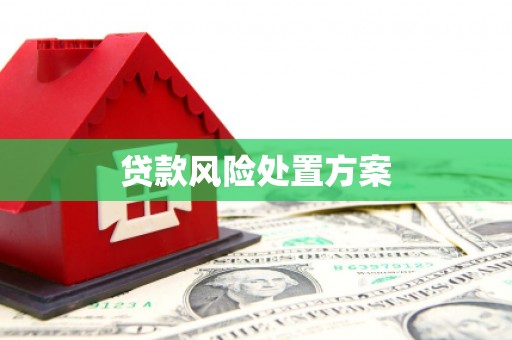 汉源贷款风险处置方案
