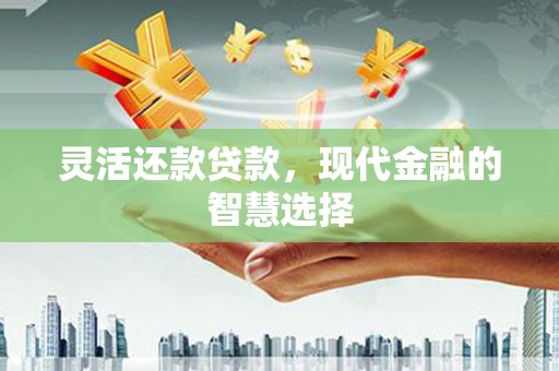阜康灵活还款贷款，现代金融的智慧选择