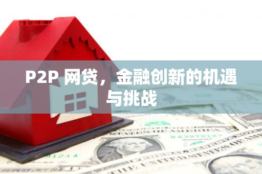 剑阁P2P 网贷，金融创新的机遇与挑战