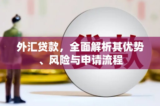 梨树外汇贷款，全面解析其优势、风险与申请流程