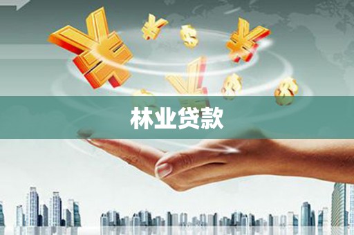 湾仔区林业贷款
