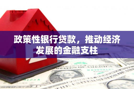 万峦政策性银行贷款，推动经济发展的金融支柱