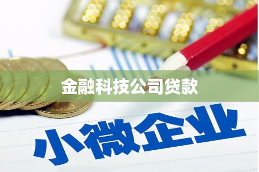 壮围金融科技公司贷款