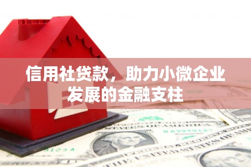 六枝信用社贷款，助力小微企业发展的金融支柱