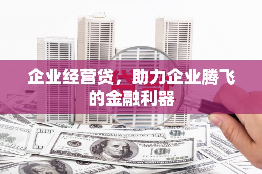 长滨企业经营贷，助力企业腾飞的金融利器