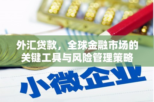 乐都外汇贷款，全球金融市场的关键工具与风险管理策略