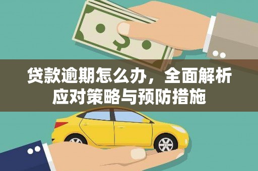 木垒贷款逾期怎么办，全面解析应对策略与预防措施