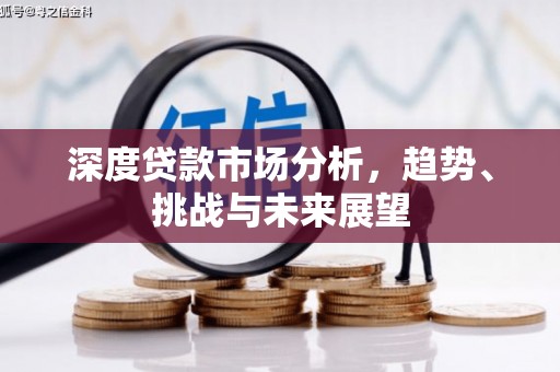 双清深度贷款市场分析，趋势、挑战与未来展望