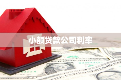 蓬江小额贷款公司利率