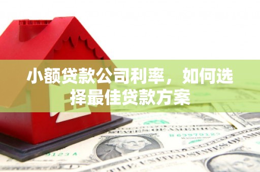 灵山小额贷款公司利率，如何选择最佳贷款方案