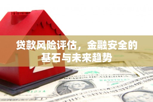 邯山贷款风险评估，金融安全的基石与未来趋势