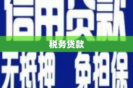 上街税务贷款