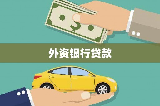 舞阳外资银行贷款