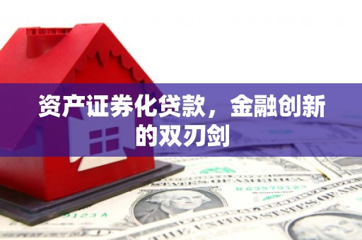 山南资产证券化贷款，金融创新的双刃剑