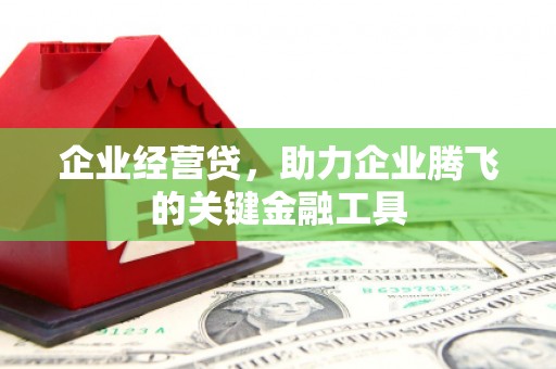 耒阳企业经营贷，助力企业腾飞的关键金融工具