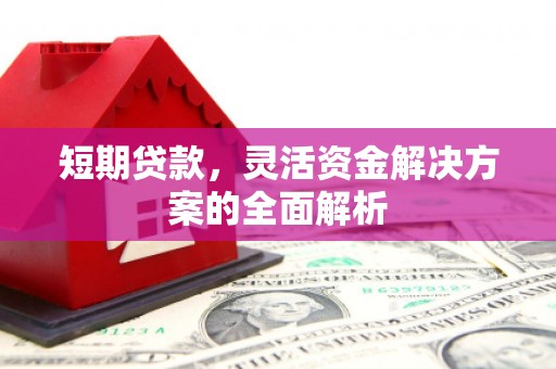 莎车短期贷款，灵活资金解决方案的全面解析