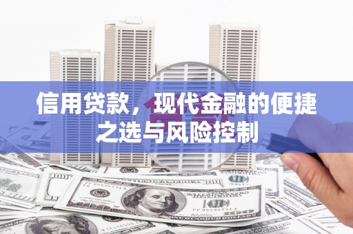 东乌旗信用贷款，现代金融的便捷之选与风险控制
