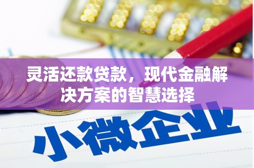 雁江灵活还款贷款，现代金融解决方案的智慧选择