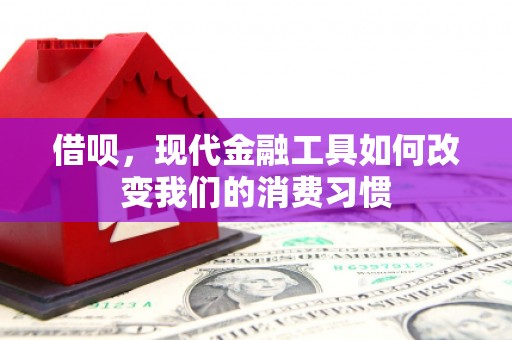 汾西借呗，现代金融工具如何改变我们的消费习惯