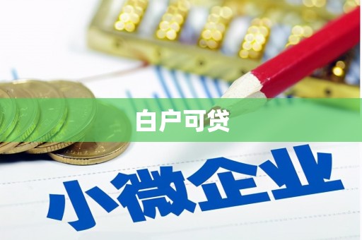西岗白户可贷