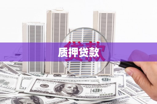 琼结质押贷款