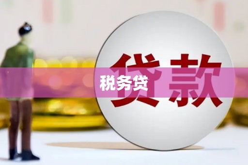 遵化税务贷