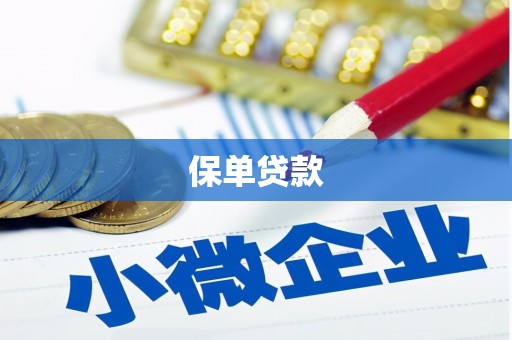 宜君保单贷款