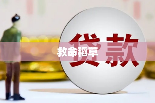 昭平救命稻草