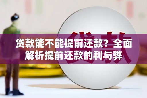 毕节贷款能不能提前还款？全面解析提前还款的利与弊