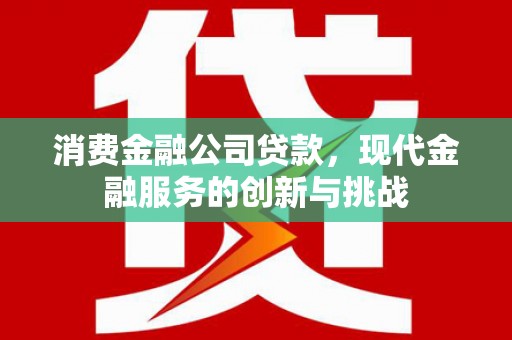 壮围消费金融公司贷款，现代金融服务的创新与挑战
