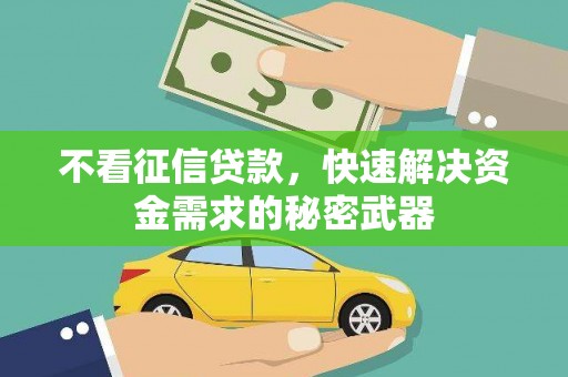 山海关不看征信贷款，快速解决资金需求的秘密武器