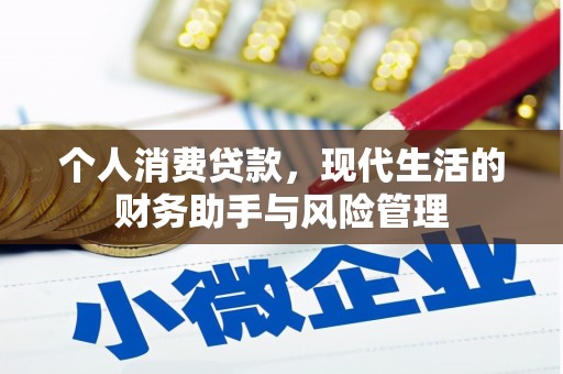 镇巴个人消费贷款，现代生活的财务助手与风险管理