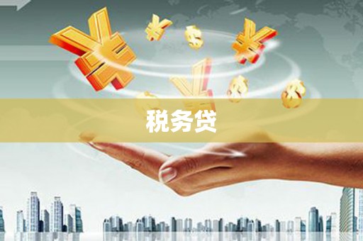 徐汇税务贷