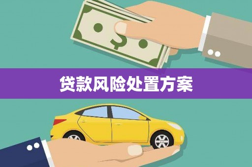 广南贷款风险处置方案