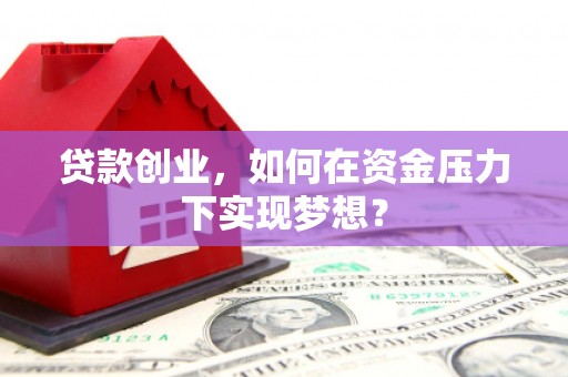 桃江贷款创业，如何在资金压力下实现梦想？