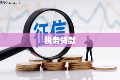 昭平税务贷款