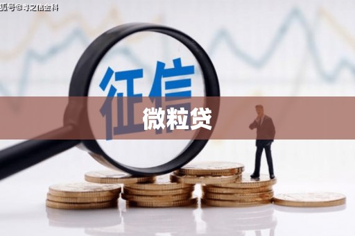 长沙微粒贷