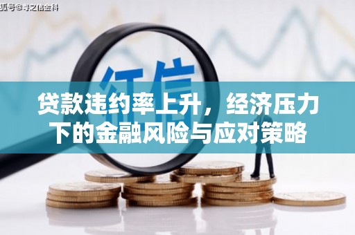 兴宁贷款违约率上升，经济压力下的金融风险与应对策略