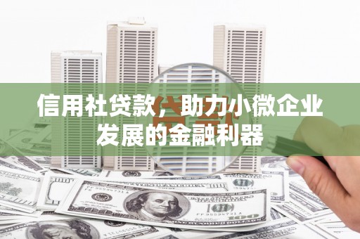 大社信用社贷款，助力小微企业发展的金融利器