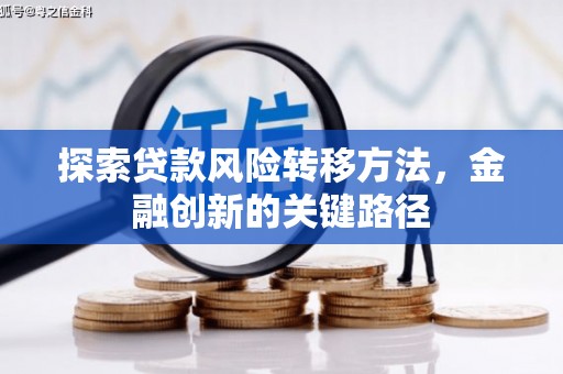 大里探索贷款风险转移方法，金融创新的关键路径