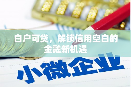 后里白户可贷，解锁信用空白的金融新机遇