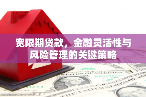 林周宽限期贷款，金融灵活性与风险管理的关键策略