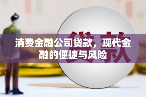白水消费金融公司贷款，现代金融的便捷与风险