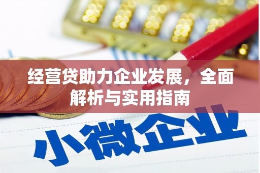 任城经营贷助力企业发展，全面解析与实用指南