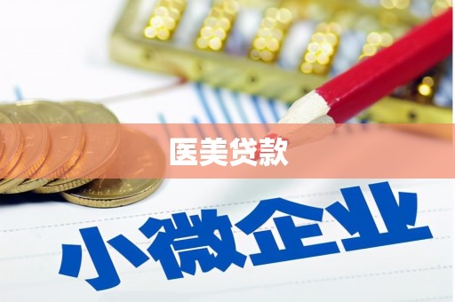 怀远医美贷款